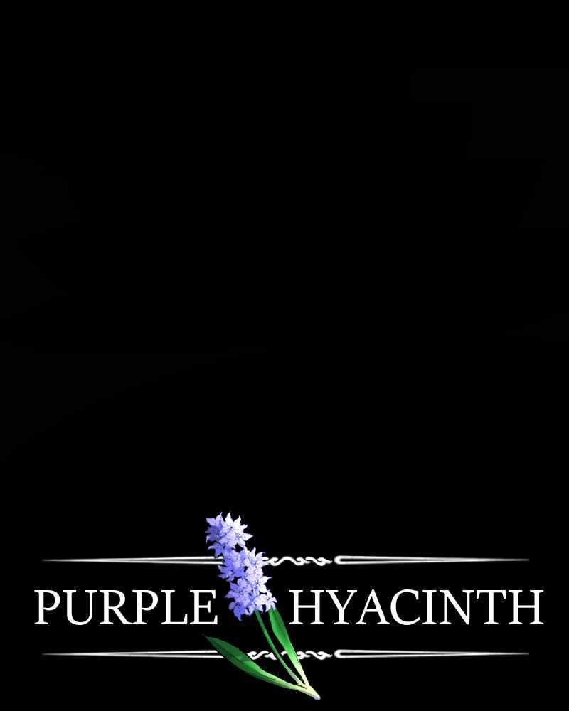 Purple Hyacinth Chapter 156 2